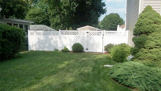 Privacy Fence